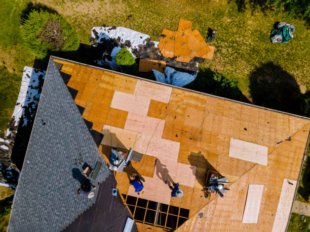 Best Residential Roofing Contractor  in Hector, MN