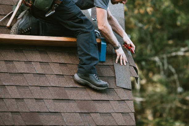 Best Roof Replacement Cost  in Hector, MN