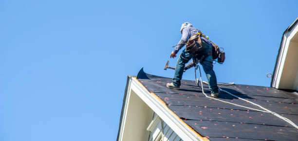Best Storm Damage Roof Repair  in Hector, MN