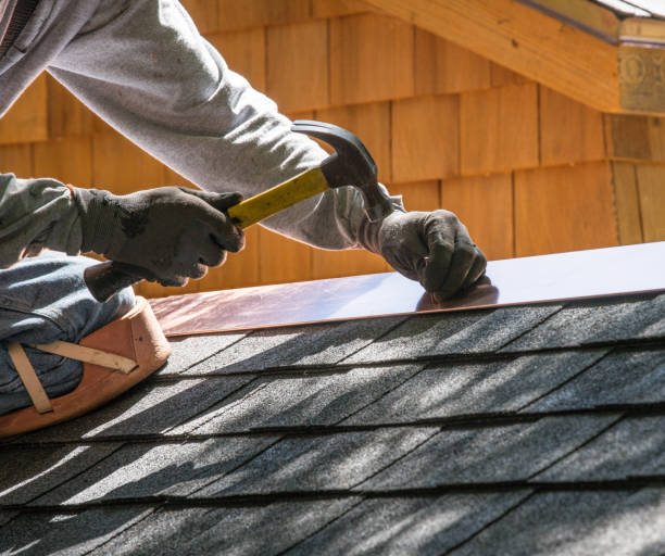 Best Roof Leak Repair  in Hector, MN